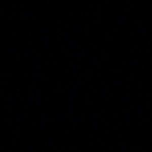 Meet your Posher, Raine